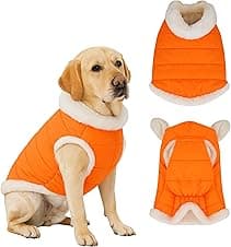 Furrieszz Orange Dog Jacket with Furry Inner Lining & Zipper – Warm Winter Wear for Pets, Fits Pomeranian, Shih Tzu, Maltese, Lhasa Apso Puppy (Size: 10" Back, Chest: 44–48 cm)